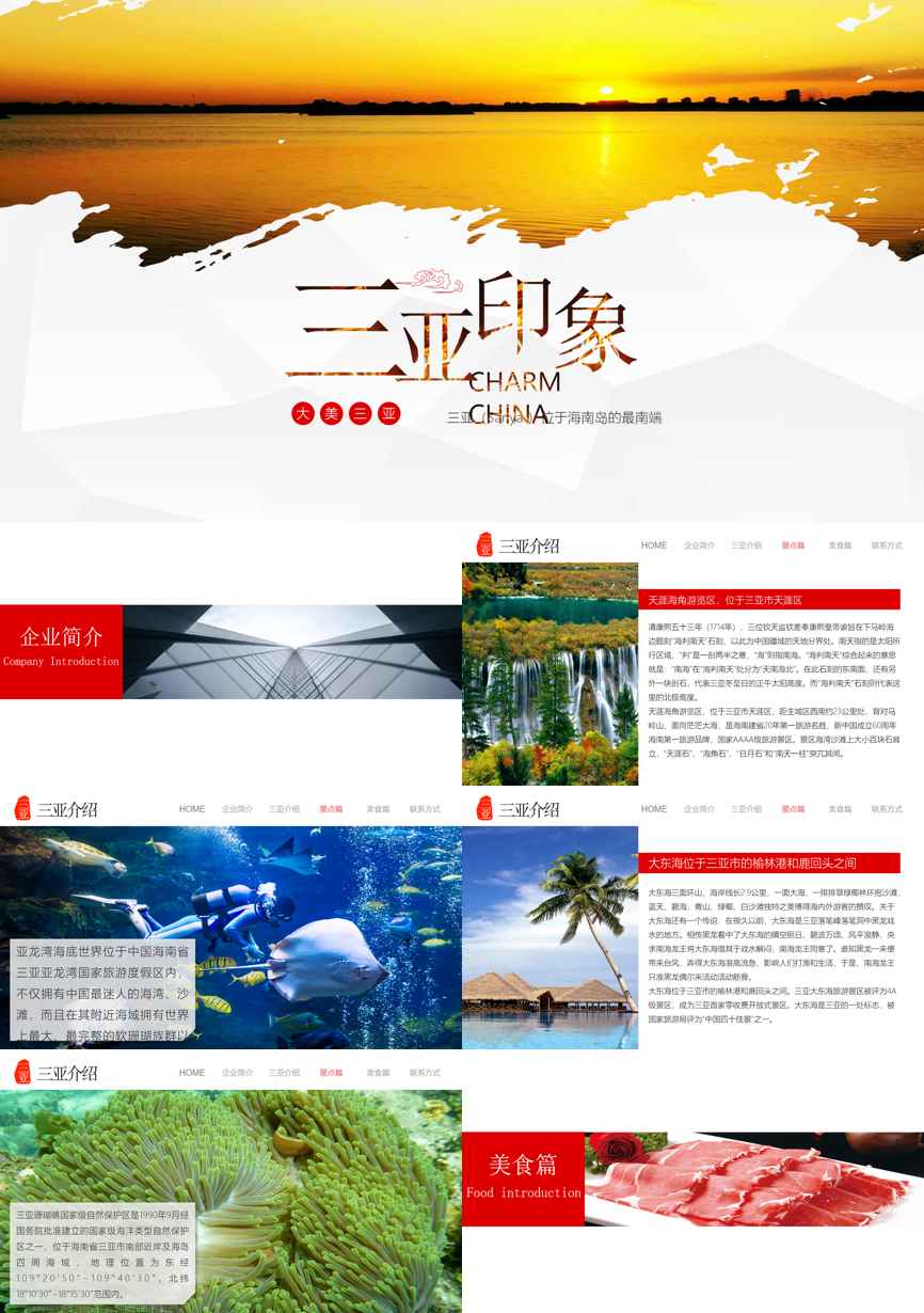 介绍宣传 (47)企业宣传PPT模板